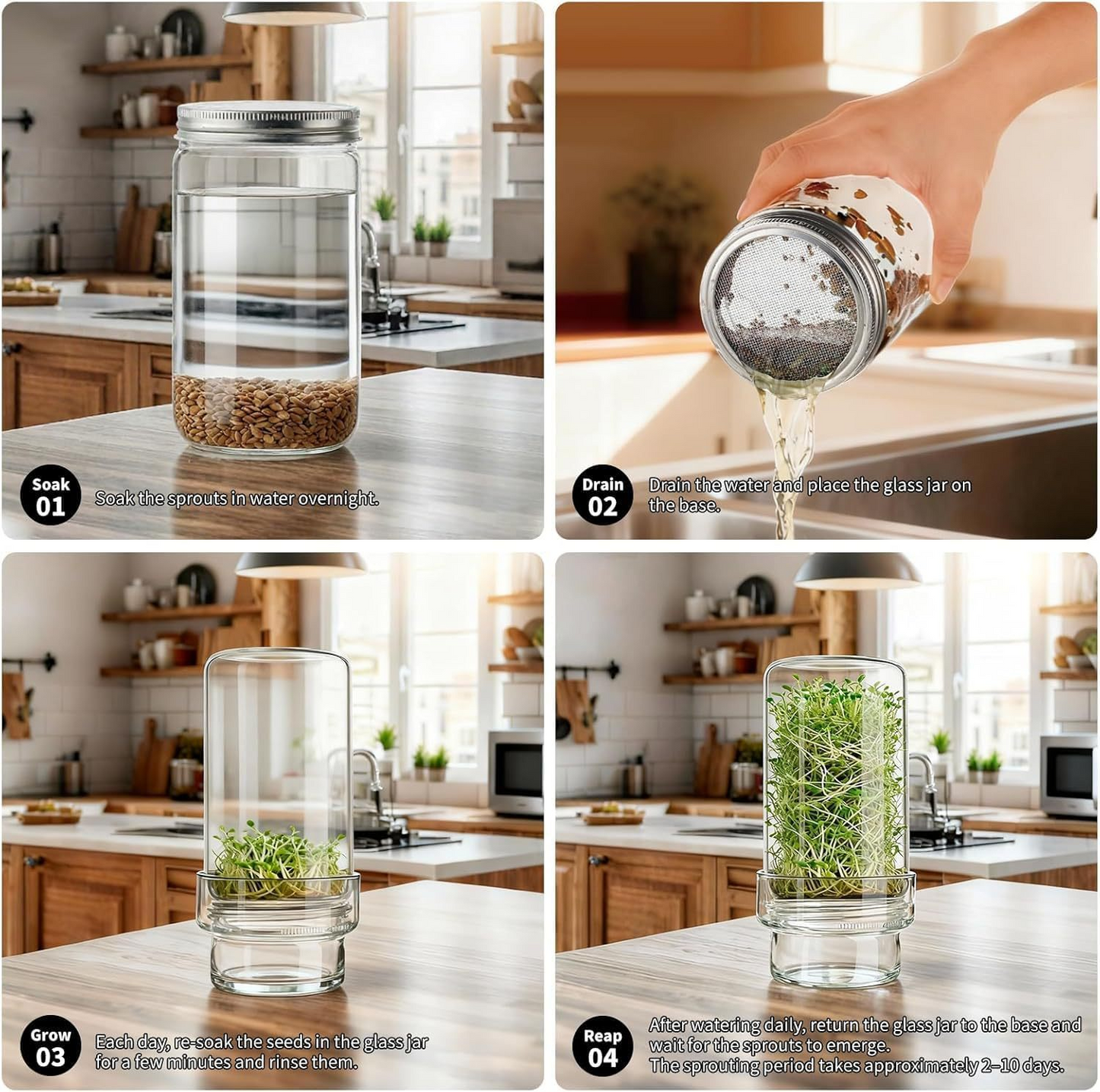 🥳Updated Sprouting Kit - Sprouting Jar Kits🔥Buy 2 Get 10% Off