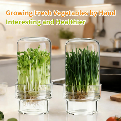 🥳Updated Sprouting Kit - Sprouting Jar Kits🔥Buy 2 Get 10% Off