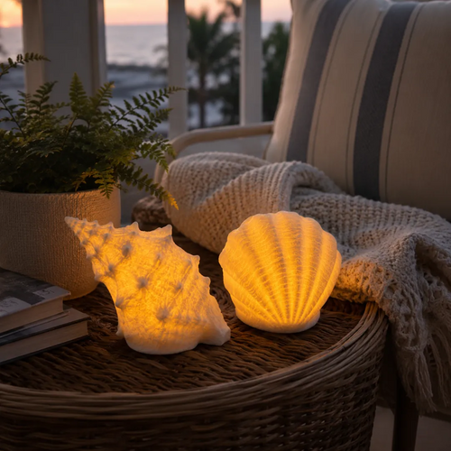 🔥Last Day 50% OFF🔥Coastal Afterglow Shell & Conch Light Set🐚