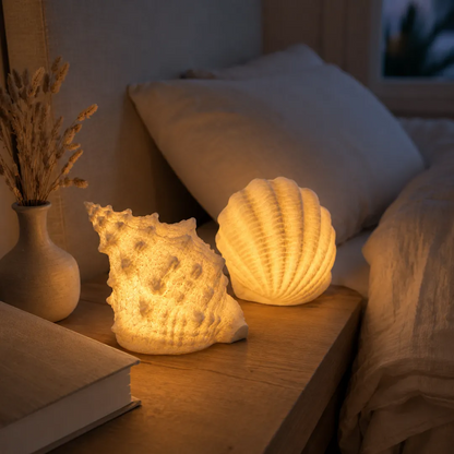 🔥Last Day 50% OFF🔥Coastal Afterglow Shell & Conch Light Set🐚
