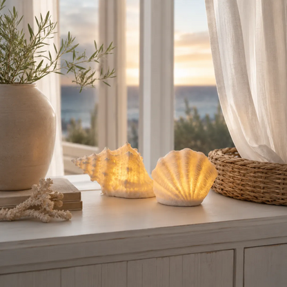🔥Last Day 50% OFF🔥Coastal Afterglow Shell & Conch Light Set🐚