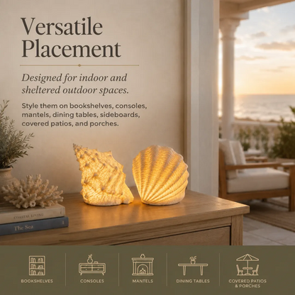 🔥Last Day 50% OFF🔥Coastal Afterglow Shell & Conch Light Set🐚