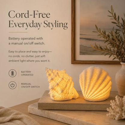 🔥Last Day 50% OFF🔥Coastal Afterglow Shell & Conch Light Set🐚