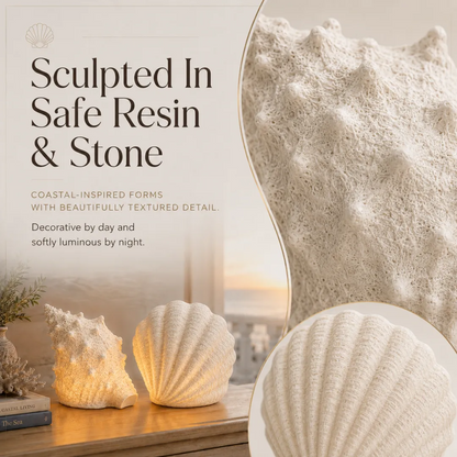 🔥Last Day 50% OFF🔥Coastal Afterglow Shell & Conch Light Set🐚