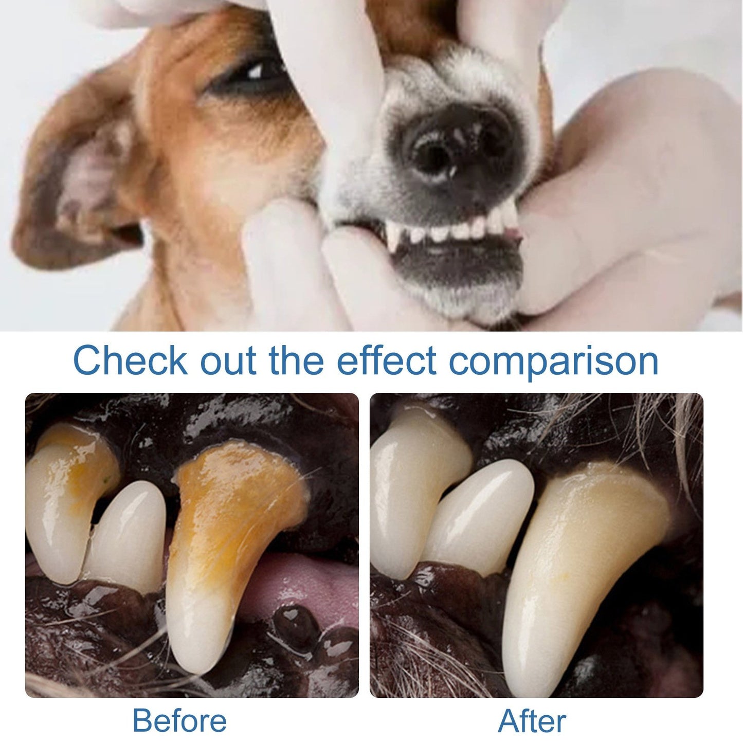 🐶Foam for removing tartar from pet teeth – Fresh breath & healthy teeth, no brushing required!🦷