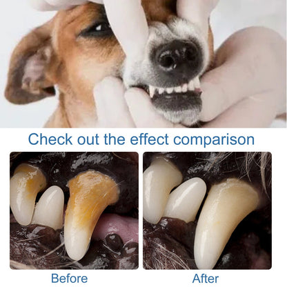 🐶Foam for removing tartar from pet teeth – Fresh breath & healthy teeth, no brushing required!🦷