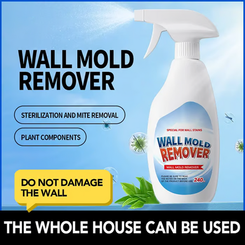 Loribeaut Highly Effective Mould Removal Spray - Prevents Mould Regrowth