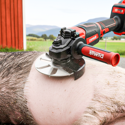🐄 Multi-Purpose Animal Hair Remover Scraper Disc – Fast, Efficient & Built to Last