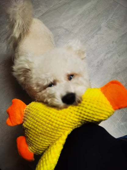 🪿🪿Calming Duck Toy   🔥🔥 Buy 2, Get 10% Off
