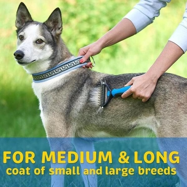 Big Sale 50% Off🎁Pet Safe Dematting Comb🎉Buy two for better prices🎉