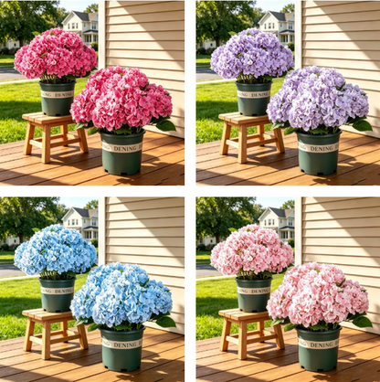🔥Last Day 70% OFF🔥Artificial Outdoor Hydrangea Flowers - UV resistant, Waterproof, Windproof