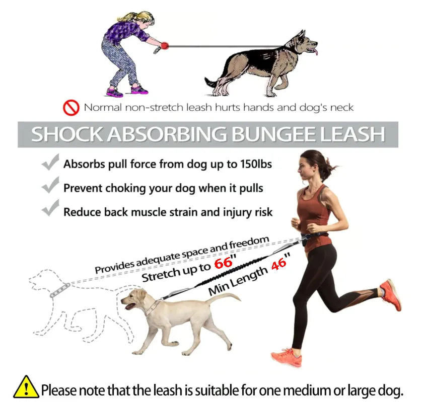 🔥Hands Free Dog Leash with Zipper Pouch