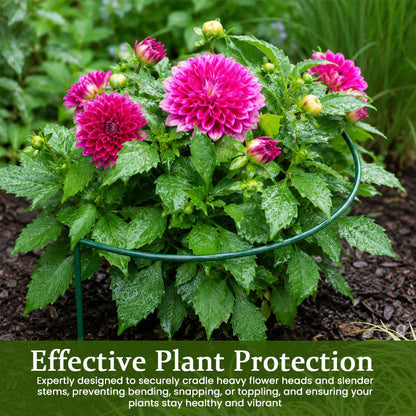 🌸 Plant Support Stakes – Stop Flopping & Support Healthy Growth