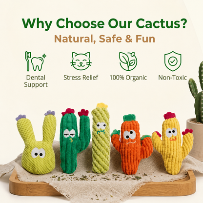 🎁Last Day Promotion 49% OFF🔥5pcHandmade Soft Cactus Kitten Chew Toys with Natural Catnip