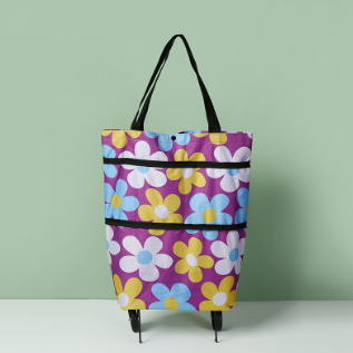 🏆 Last Day Special Price ! 🔥 2-in-1 Shopping Bag Foldable Green Bag