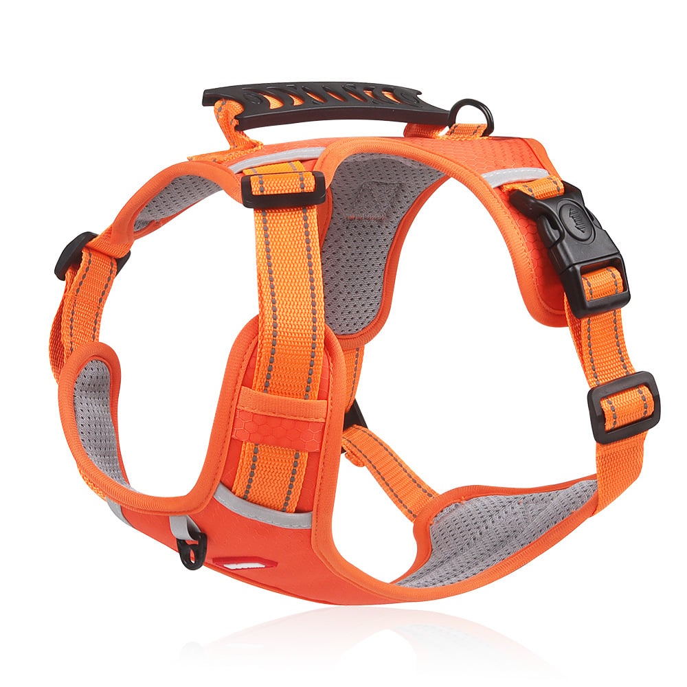 🐕 No Pull Dog Harness for Pets🔥🔥| Limited Time 50% Off