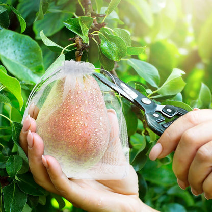 🔥Fruit Protection Bags   🔥🔥 Buy 50, Get 50 Free