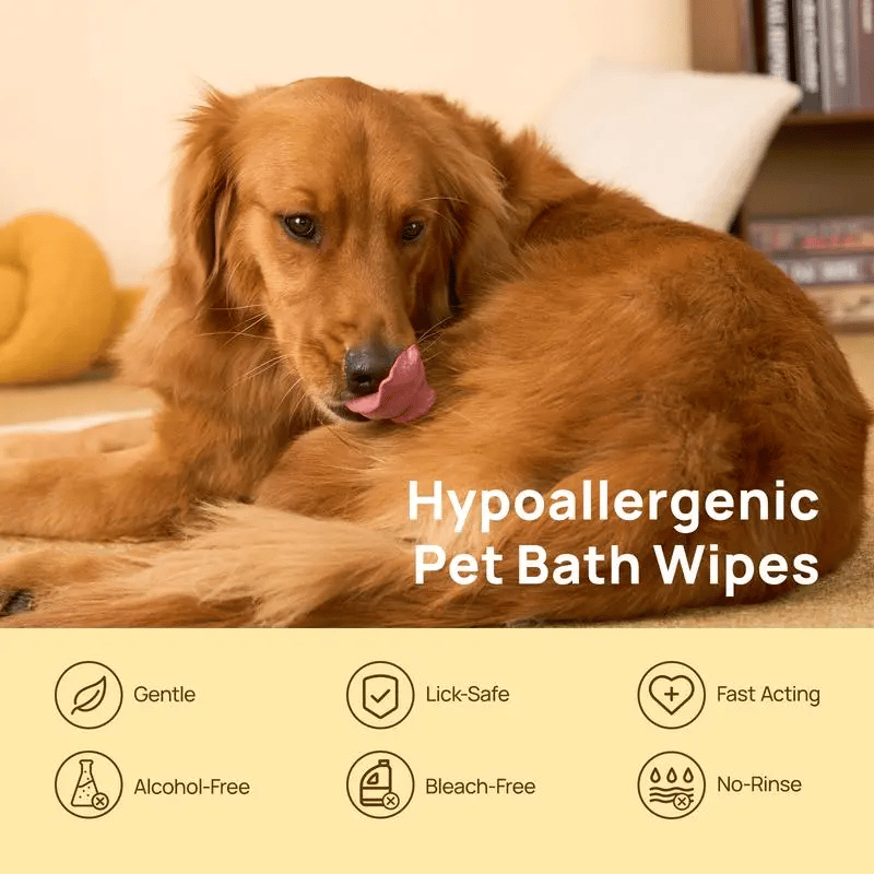 🔥20Pcs Deodorizing Pet Glove Wipes