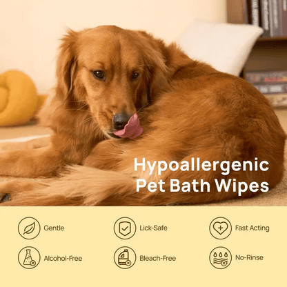 🔥20Pcs Deodorizing Pet Glove Wipes