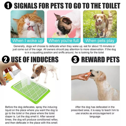 Pet  Training Spray