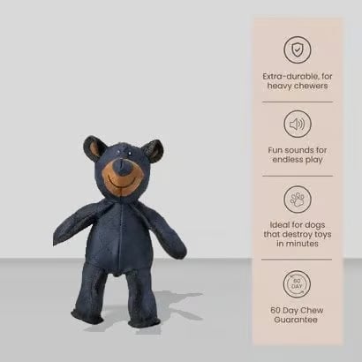 🔥🧸2026 New Bear for strong chewers