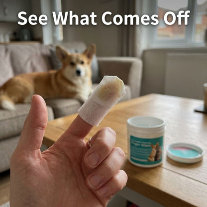 Freshen Your Dog’s Breath — Without the Toothbrush Battle