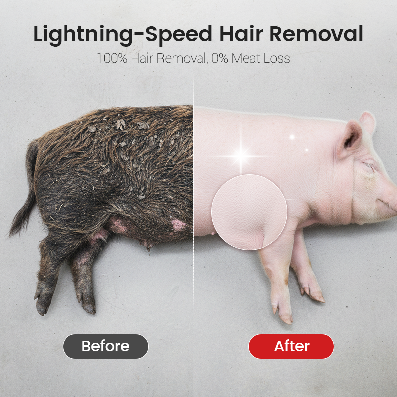 🐄 Multi-Purpose Animal Hair Remover Scraper Disc – Fast, Efficient & Built to Last