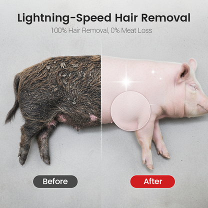 🐄 Multi-Purpose Animal Hair Remover Scraper Disc – Fast, Efficient & Built to Last