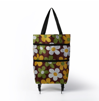 🏆 Last Day Special Price ! 🔥 2-in-1 Shopping Bag Foldable Green Bag