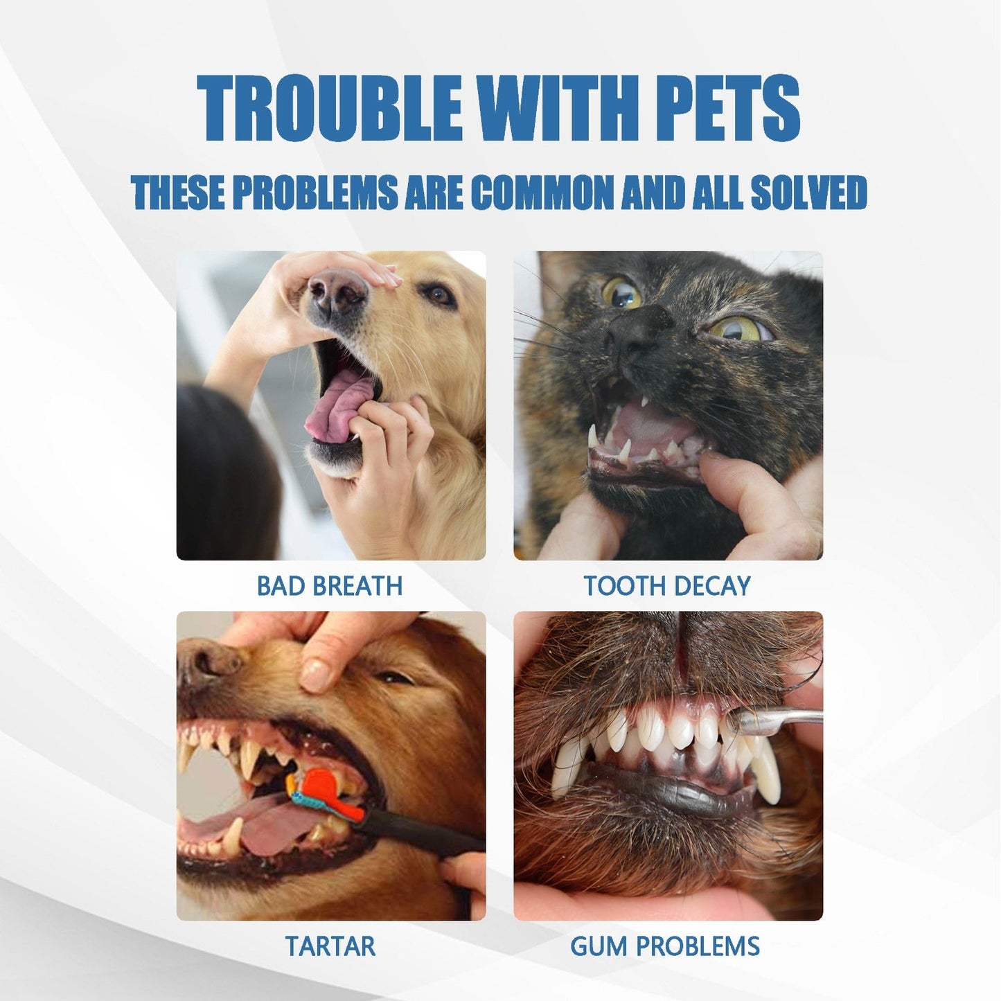 🐶Foam for removing tartar from pet teeth – Fresh breath & healthy teeth, no brushing required!🦷
