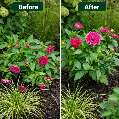 🌸 Plant Support Stakes – Stop Flopping & Support Healthy Growth