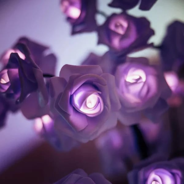 📢📢70% OFF!!⏰🌹Rose Flower Design Tree Night Light🌟