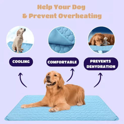 🐾Dog Mat  🔥🔥BUY 2 GET 10% OFF
