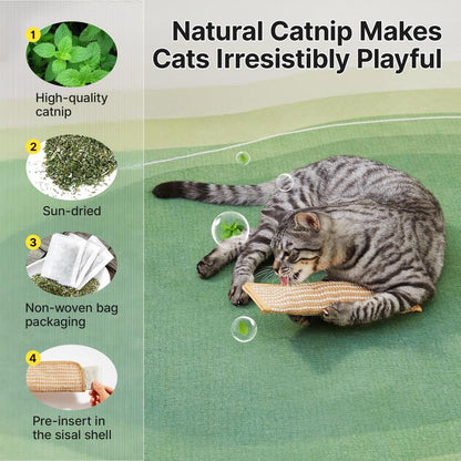 🔥Natural Sisal Catnip Kicker Toy & Dental Pillow