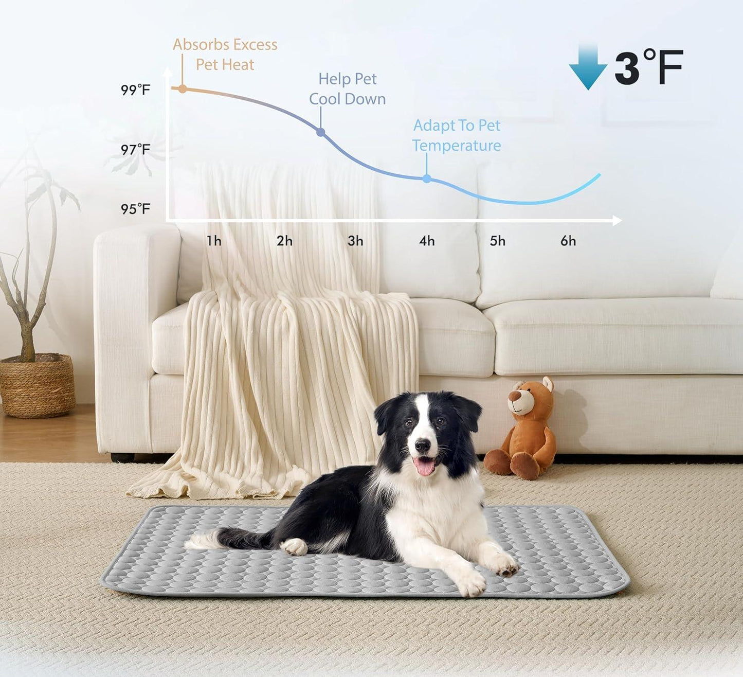 🐾Dog Mat  🔥🔥BUY 2 GET 10% OFF