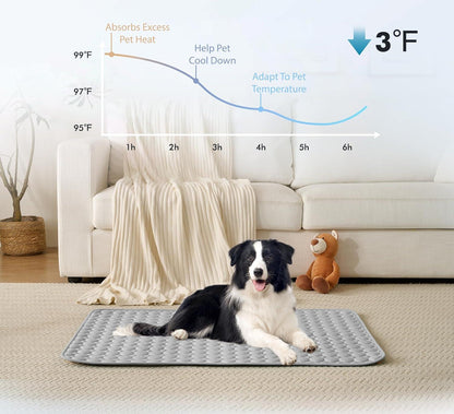 🐾Dog Mat  🔥🔥BUY 2 GET 10% OFF