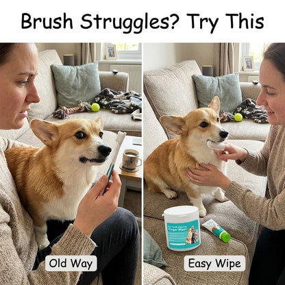 Freshen Your Dog’s Breath — Without the Toothbrush Battle