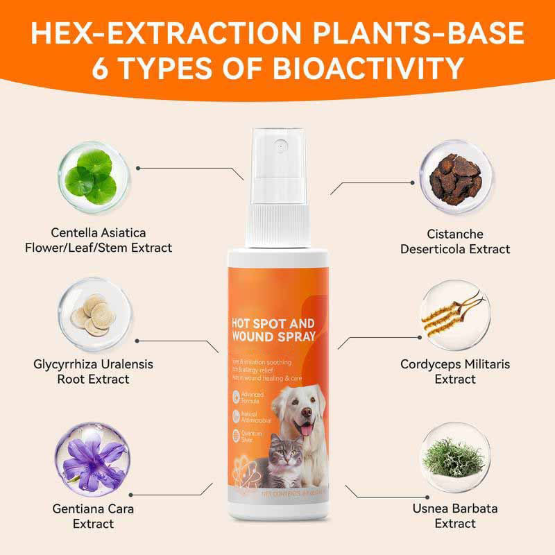 Itch Relief Spray –Vet Recommended Skin Soothing Quantum Silver Spray for Dogs & Cats