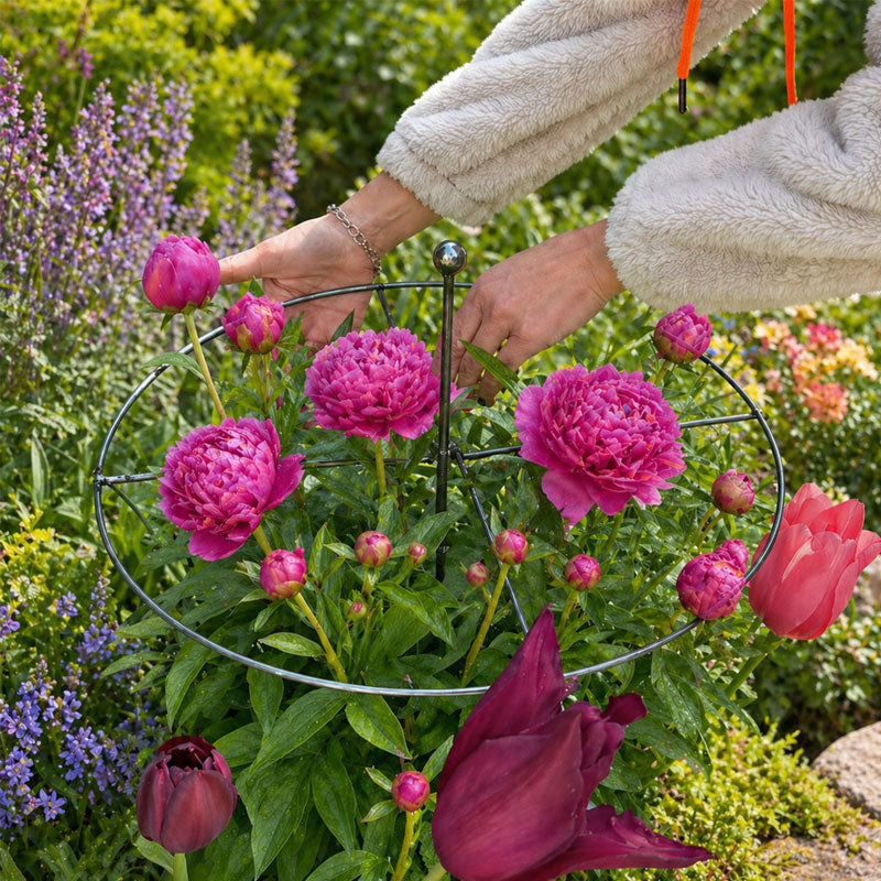 🔥 Hot Sale Peony Plant Support Ring | Heavy Duty Flower Cage Stake for Garden & Yard 🌷
