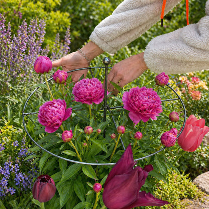🔥 Hot Sale Peony Plant Support Ring | Heavy Duty Flower Cage Stake for Garden & Yard 🌷