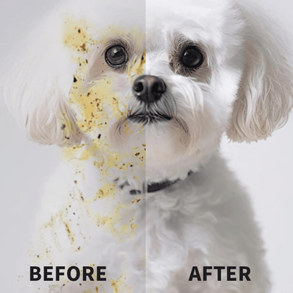 🔥20Pcs Deodorizing Pet Glove Wipes