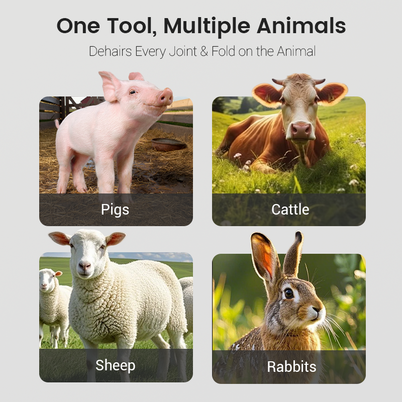 🐄 Multi-Purpose Animal Hair Remover Scraper Disc – Fast, Efficient & Built to Last