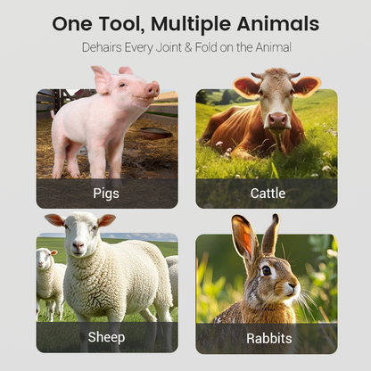 🐄 Multi-Purpose Animal Hair Remover Scraper Disc – Fast, Efficient & Built to Last