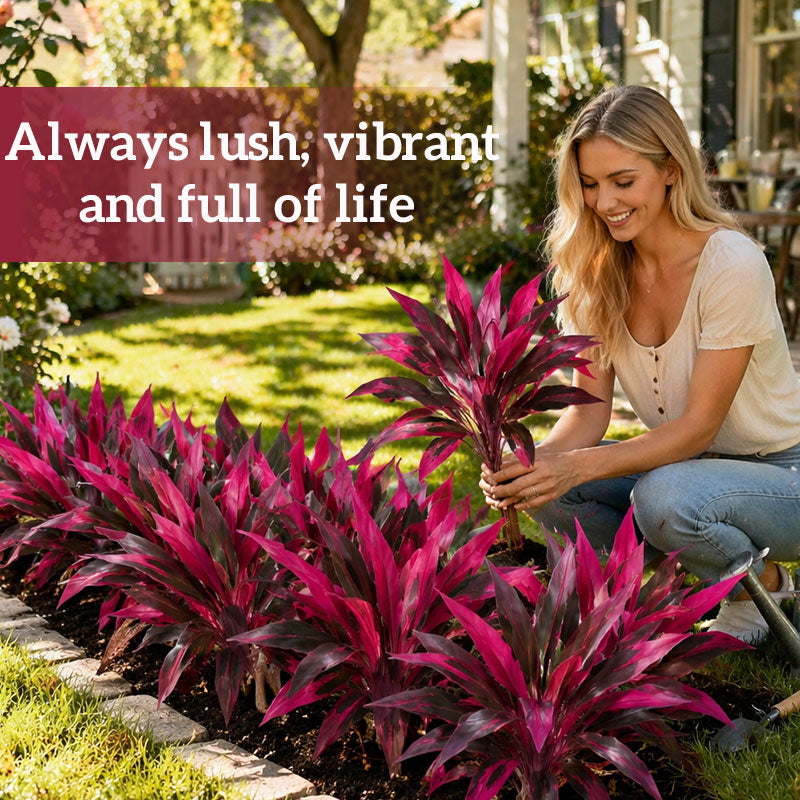 🔥Hot Sale🌿 Artificial Cordyline Ti Plant | Faux Red Ti Leaf Tropical Decor