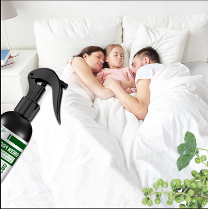 Power Mite Remover – Instantly Eliminate Dust Mites from Your Home 🦠🚫