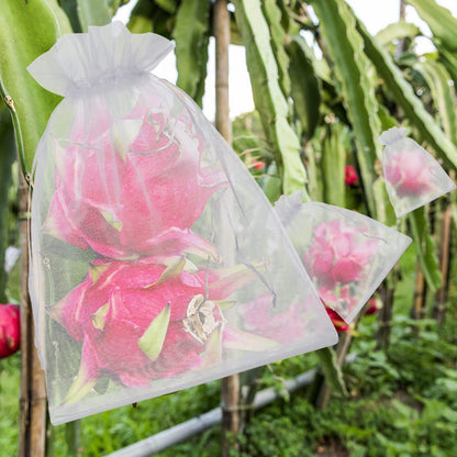🔥Fruit Protection Bags   🔥🔥 Buy 50, Get 50 Free