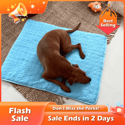 🐾Dog Mat  🔥🔥BUY 2 GET 10% OFF