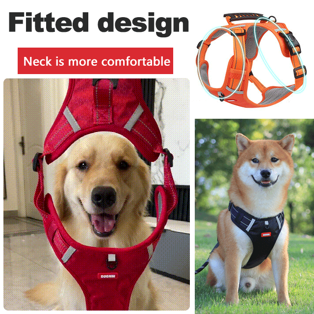 🐕 No Pull Dog Harness for Pets🔥🔥| Limited Time 50% Off