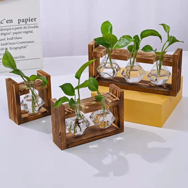 🌿 Rustic Wooden Stand Hydroponic Vases – Soil-Free Plant Growing | Farmhouse Style Décor for Home, Office & Kitchen
