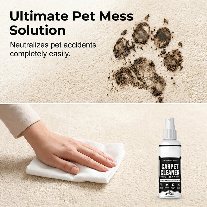 Erase Stains Instantly! No-Scrub Deep Clean Carpet Spray